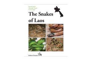 Snakes of Laos